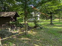 PXL_20250816_072042565.jpg